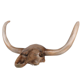 Bull Skull