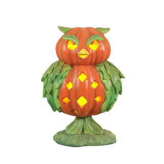 Pumpkin owl