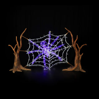 Spider Web And Spider (purple)