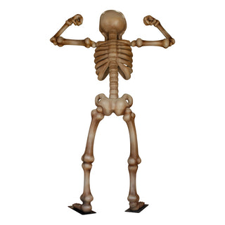 Skeleton 3.5m "Flex"