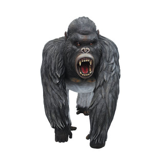 Silver Back Gorilla