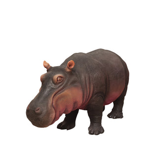 Hippopotamus