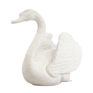 Majestic Male swan