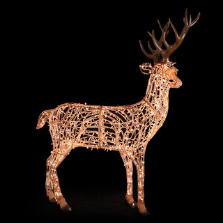 STAG GOLDEN WHITE - STANDING