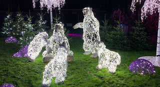 Polar Bear Baby, Standing