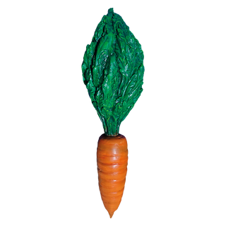 Carrot