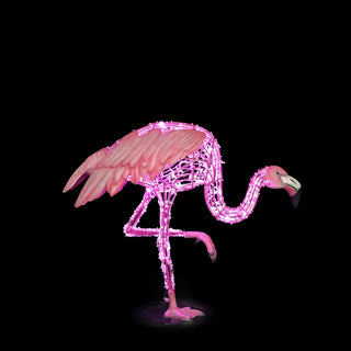 Flamingio Standing On One Leg