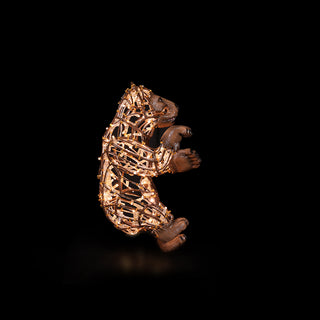 Black Bear Baby Walking