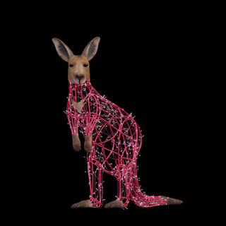 Kangaroo DAD