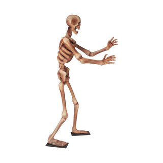 Skeleton 180 "Arms out"