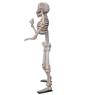 Waving Skeleton