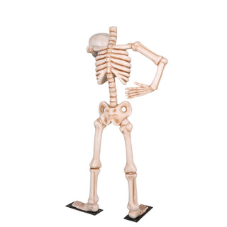 Skeleton To Be Or Not To Be 7ft.