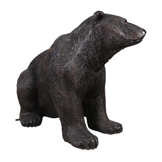 American Black Bear, Sitting