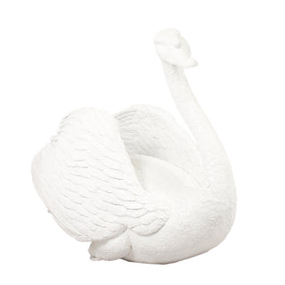 Majestic Male swan