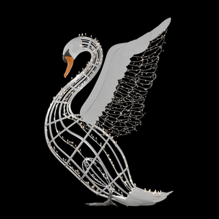 Majestic Female Swan