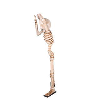 Skeleton Head Tilt 7ft