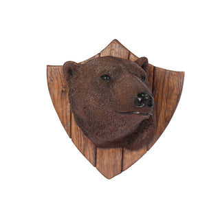 Grizzly bear Trophy Head