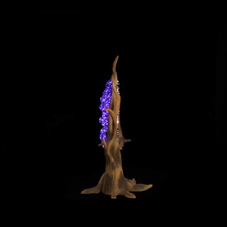 Spider Web And Spider (purple)