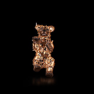 Black Bear Baby Walking