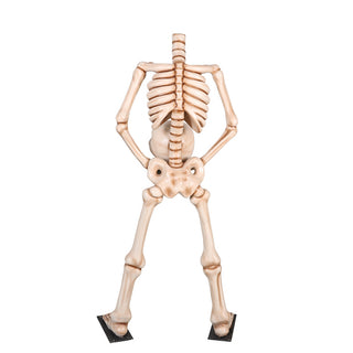 Skeleton Holding Head 7ft