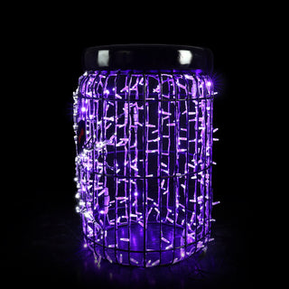 Jar Spider