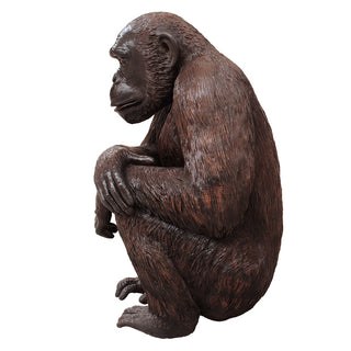Sitting Chimpanzee
